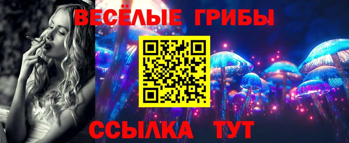 Галлюциногенные грибы GOLDEN TEACHER Дзержинск