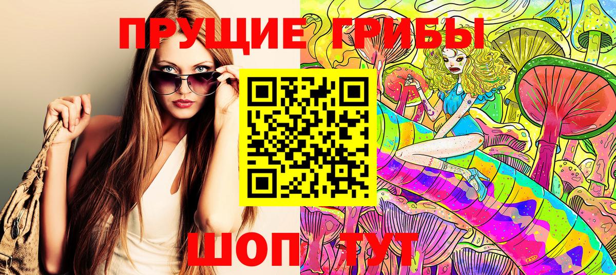Дзержинск  Галлюциногенные грибы Cubensis  Вход с VPN 